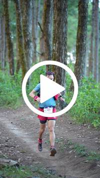 BIB:  <button type="button" onclick="openModal(27293241)" class="btn btn-primary btn-sm float-right" data-toggle="modal" data-target=".modal-high-quality">
                <i class="fa fa-download"></i> Download
                </button>